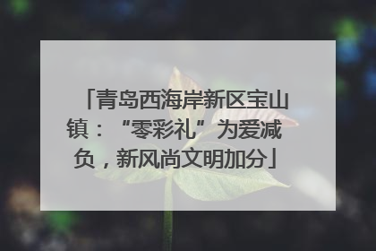 青岛西海岸新区宝山镇：“零彩礼”为爱减负，新风尚文明加分