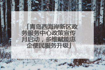 青岛西海岸新区政务服务中心政策宣传月启动，多维赋能惠企便民服务升级