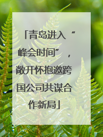 青岛进入“峰会时间”，敞开怀抱邀跨国公司共谋合作新局