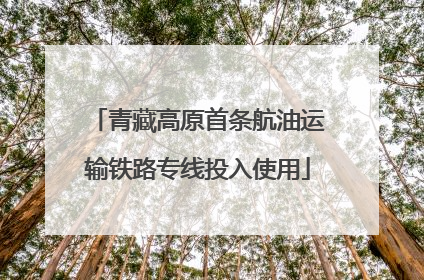 青藏高原首条航油运输铁路专线投入使用