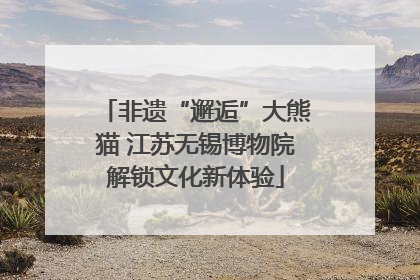非遗“邂逅”大熊猫 江苏无锡博物院解锁文化新体验