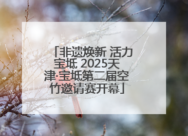 非遗焕新 活力宝坻 2025天津·宝坻第二届空竹邀请赛开幕