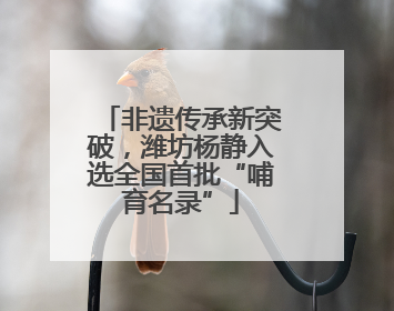 非遗传承新突破，潍坊杨静入选全国首批“哺育名录”