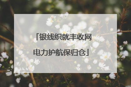 银线织就丰收网 电力护航保归仓