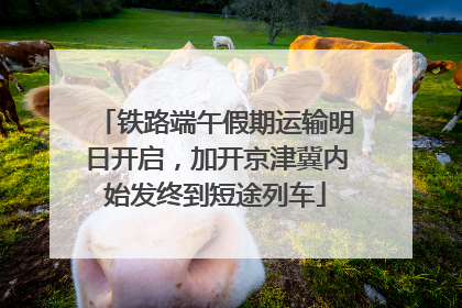 铁路端午假期运输明日开启，加开京津冀内始发终到短途列车