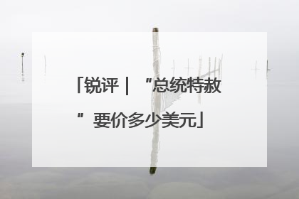 锐评｜“总统特赦”要价多少美元