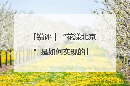 锐评｜“花漾北京”是如何实现的