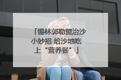锡林郭勒盟治沙小妙招 给沙地吃上“营养餐”