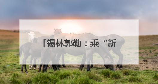锡林郭勒：乘“新”风向“绿”行