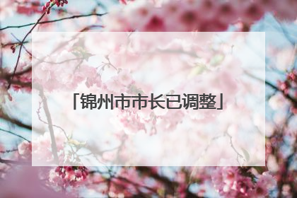 锦州市市长已调整