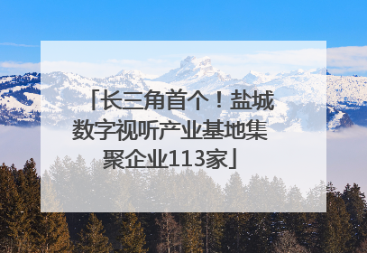 长三角首个！盐城数字视听产业基地集聚企业113家