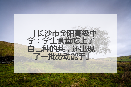 长沙市金阳高级中学：学生食堂吃上了自己种的菜，还出现了一批劳动能手