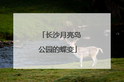 长沙月亮岛公园的蝶变
