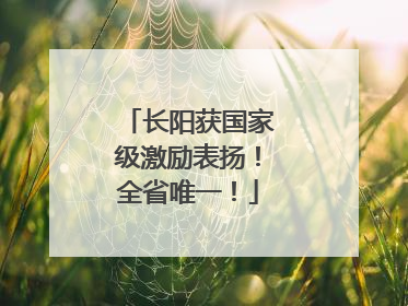 长阳获国家级激励表扬！全省唯一！