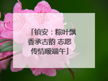 镇安：粽叶飘香承古韵 志愿传情暖端午
