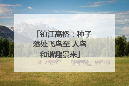 镇江高桥：种子落处飞鸟至 人鸟和谐趣景来