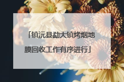 镇沅县勐大镇烤烟地膜回收工作有序进行