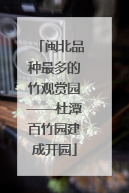 闽北品种最多的竹观赏园——杜潭百竹园建成开园