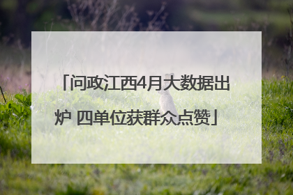 问政江西4月大数据出炉 四单位获群众点赞