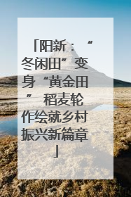 阳新：“冬闲田”变身“黄金田” 稻麦轮作绘就乡村振兴新篇章