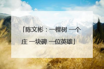 陈文彬：一棵树 一个庄 一块碑 一位英雄