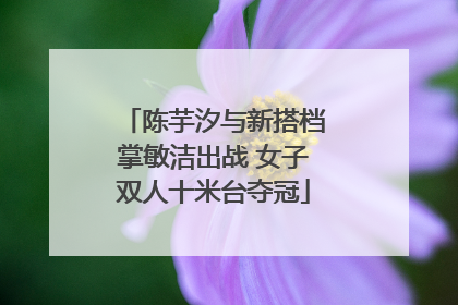 陈芋汐与新搭档掌敏洁出战 女子双人十米台夺冠