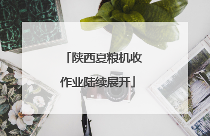陕西夏粮机收作业陆续展开