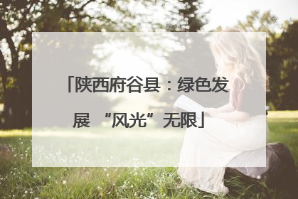 陕西府谷县：绿色发展 “风光”无限