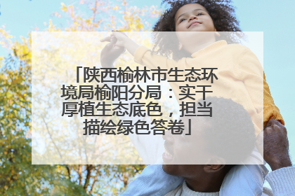陕西榆林市生态环境局榆阳分局：实干厚植生态底色，担当描绘绿色答卷