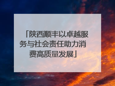 陕西顺丰以卓越服务与社会责任助力消费高质量发展