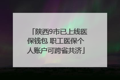 陕西9市已上线医保钱包 职工医保个人账户可跨省共济