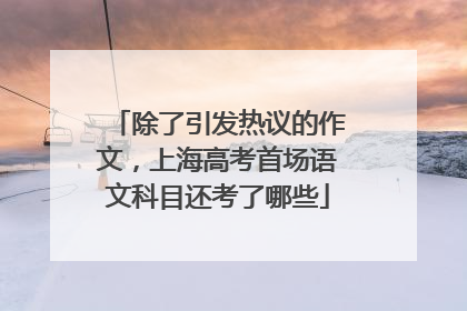 除了引发热议的作文，上海高考首场语文科目还考了哪些