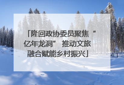 隆回政协委员聚焦“亿年龙洞” 推动文旅融合赋能乡村振兴