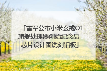 雷军公布小米玄戒O1旗舰处理器创始纪念品 芯片设计图镌刻铝板