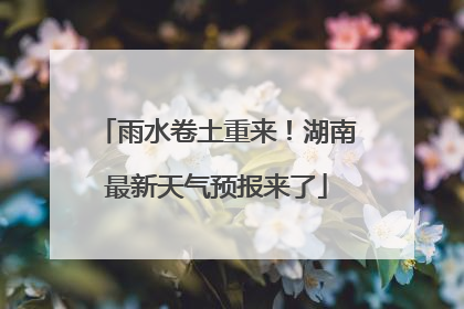雨水卷土重来！湖南最新天气预报来了