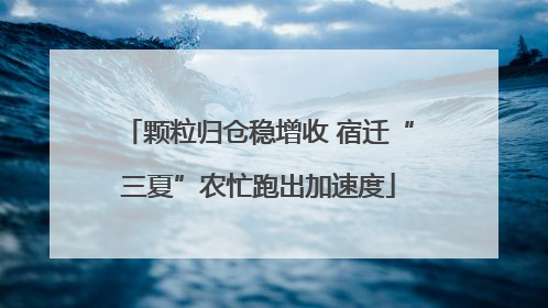 颗粒归仓稳增收 宿迁“三夏”农忙跑出加速度