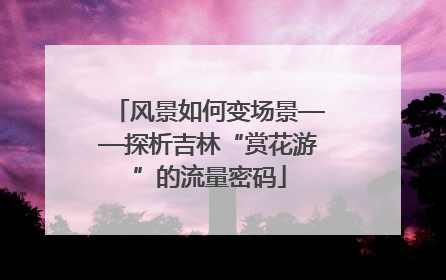 风景如何变场景——探析吉林“赏花游”的流量密码
