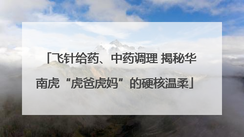 飞针给药、中药调理 揭秘华南虎“虎爸虎妈”的硬核温柔
