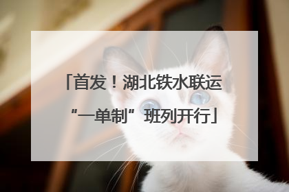 首发！湖北铁水联运“一单制”班列开行