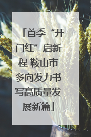 首季“开门红”启新程 鞍山市多向发力书写高质量发展新篇