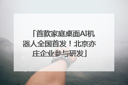 首款家庭桌面AI机器人全国首发！北京亦庄企业参与研发