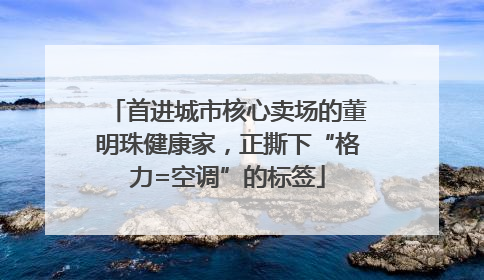 首进城市核心卖场的董明珠健康家，正撕下“格力=空调”的标签