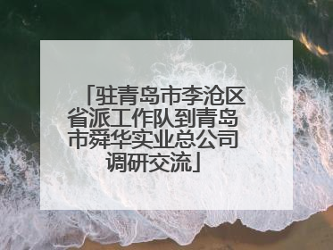 驻青岛市李沧区省派工作队到青岛市舜华实业总公司调研交流