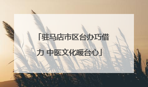 驻马店市区台办巧借力 中医文化暖台心