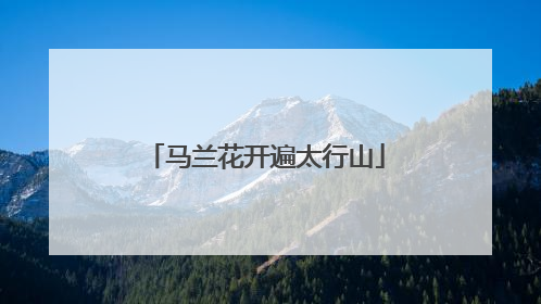 马兰花开遍太行山