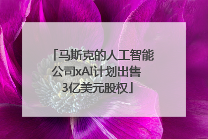 马斯克的人工智能公司xAI计划出售3亿美元股权