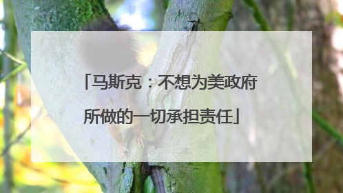 马斯克：不想为美政府所做的一切承担责任