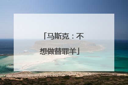 马斯克：不想做替罪羊