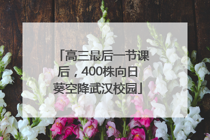 高三最后一节课后，400株向日葵空降武汉校园