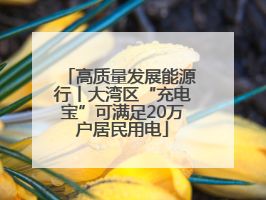 高质量发展能源行丨大湾区“充电宝”可满足20万户居民用电